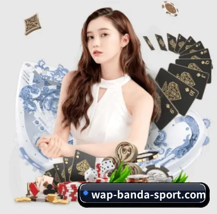 半岛综合 APP